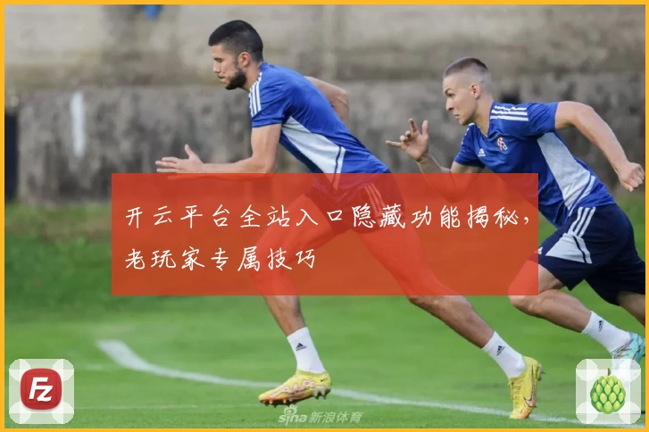 开云平台全站入口隐藏功能揭秘，老玩家专属技巧