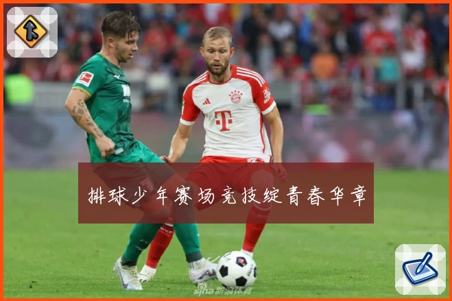 排球少年赛场竞技绽青春华章